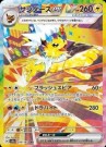 Terastal Festival Booster Pakke thumbnail